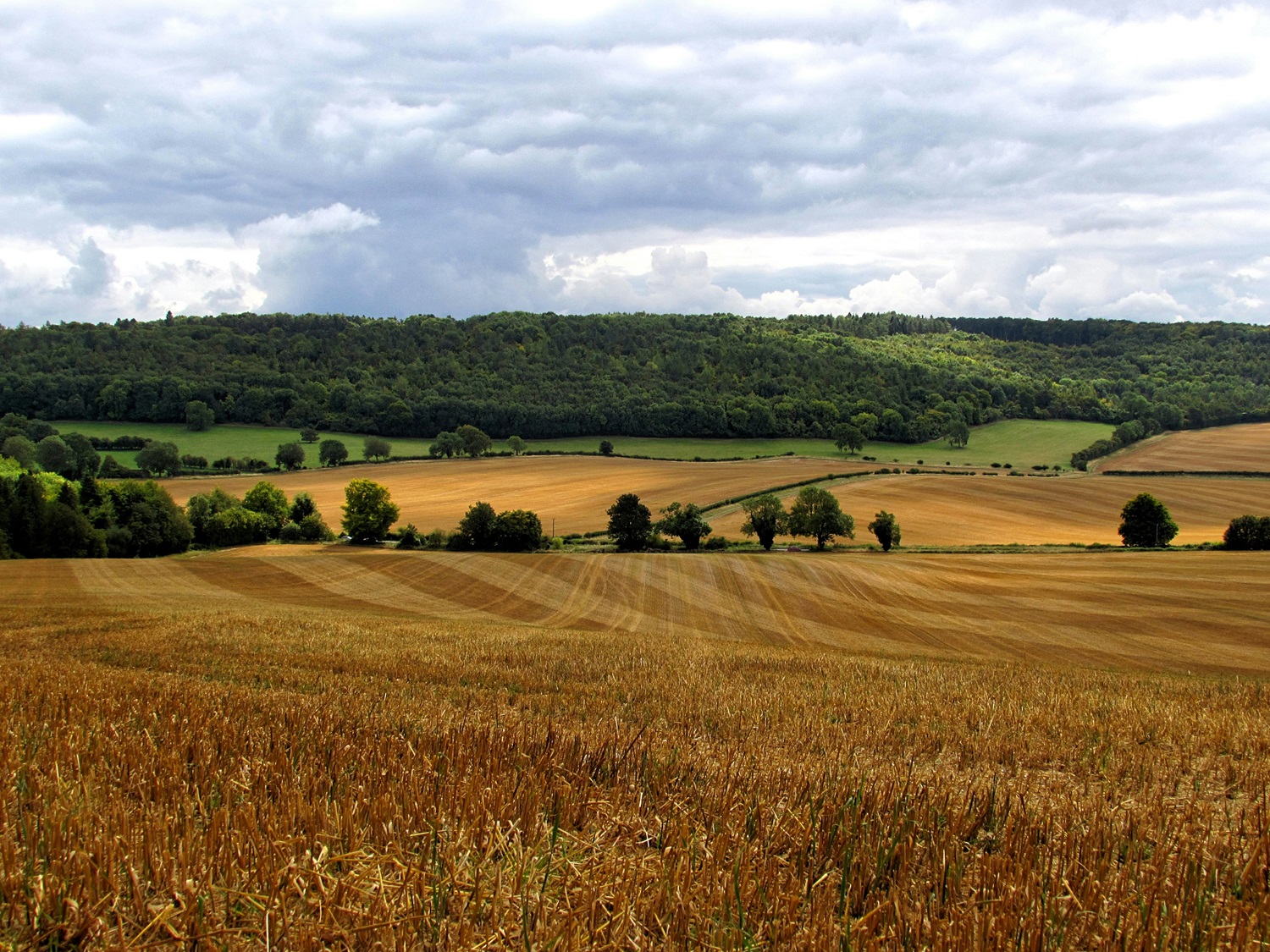 Buying farmland and rural property
