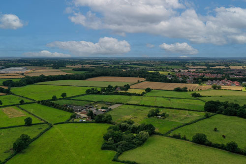 Development consultancy