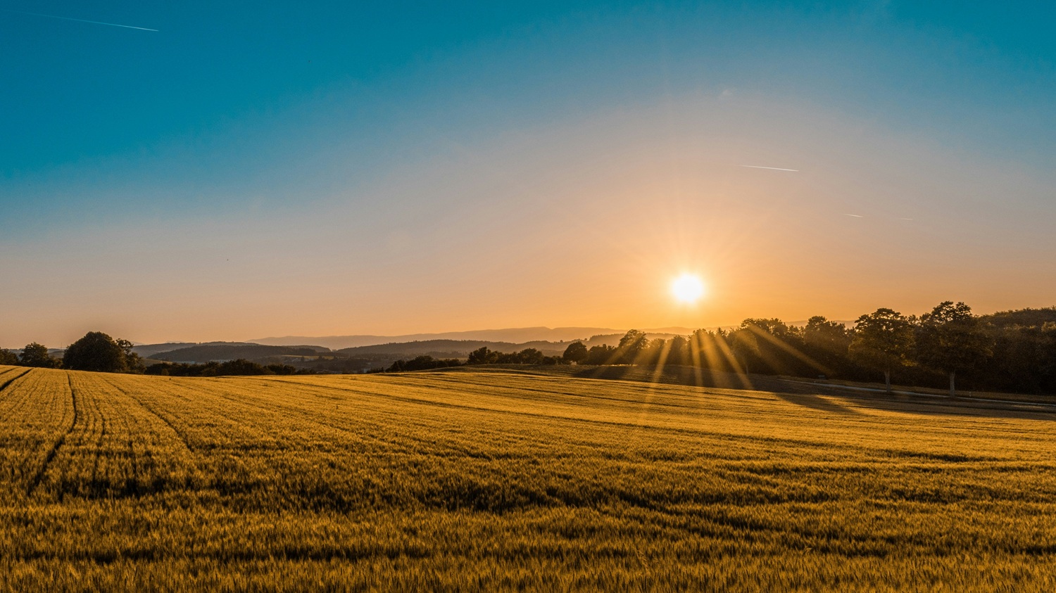 Buying farmland and rural property